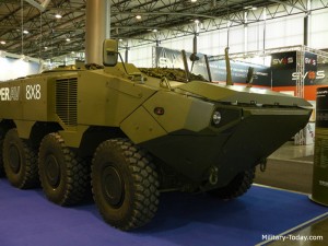 Imbracat de promenada - Sursa: military-today.com