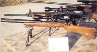 Ruger 10/22 cu amortizor de zgomot - Sursa: ruger1022.com